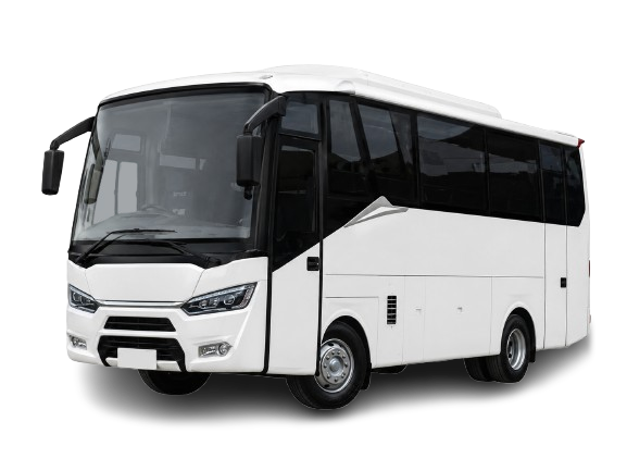 MEDIUM BUS