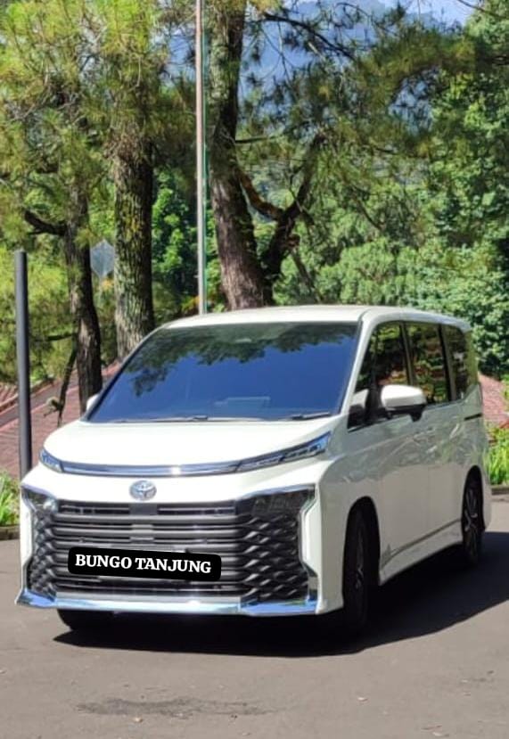 Momen perjalanan pelanggan Bungo Tanjung Rent Car 26